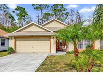 Tan house with a two-car garage and palm trees in the front yard at 569 Eagle Pointe South, Kissimmee, FL 34746