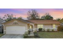 Beautiful one-story home showcasing manicured landscaping, a spacious driveway, and an inviting front entrance at 206 Memphis Pl, St Cloud, FL 34769