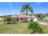 Charming single-story home with a well-manicured front lawn, lush landscaping, and mature palm trees at 3039 China Berry Ct, Kissimmee, FL 34746