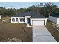 Modern one-story home featuring a two-car garage, black-framed windows, and a well-manicured lawn at 1313 Congo Dr, Kissimmee, FL 34759