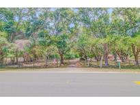 Long driveway leading to the home with an American flag flying near the front entrance and lush landscaping at 15345 Rockridge Rd, Polk City, FL 33868
