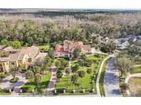 Stunning aerial view of a luxury estate with lush landscaping, palm trees, and a private setting at 1211 Aquila Loop, Kissimmee, FL 34747