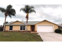 Charming single-story home featuring a two-car garage, lush lawn, and tropical palm trees at 2801 Christy Ln, St Cloud, FL 34772