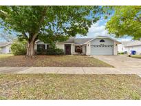 Charming single-story home featuring a two-car garage, mature tree, and well-maintained front yard at 3619 Willow Lake Ct, St Cloud, FL 34769