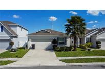 Charming single-story home with a well-maintained front yard, a palm tree, and a two-car garage at 817 Bocavista Ct, Davenport, FL 33896