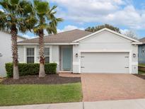 Charming single-story home with a two-car garage, complemented by palm trees and a well-manicured lawn at 3142 Hill Point St, Minneola, FL 34715