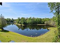 Enjoy beautiful, scenic views of the lake and surrounding foliage at 1230 Wright Cir # 5309, Celebration, FL 34747