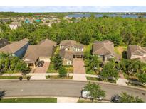 A beautiful aerial view of a neighborhood with well-maintained homes and a lake in the background at 6137 Waterside Island Ln, Winter Garden, FL 34787
