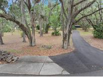 Long asphalt driveway leading to a property surrounded by mature trees and lush landscaping at 6340 Nelms E Rd, Lakeland, FL 33811