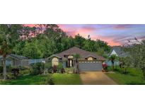 Charming single-story home featuring a well-manicured lawn and a two-car garage, all set against a lush green backdrop at 219 Breezy Oaks Ct, Davenport, FL 33896