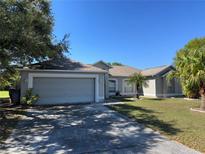 Charming single-story home featuring a two-car garage, well-maintained lawn, and a freshly painted facade at 3171 Santa Cruz Dr, Kissimmee, FL 34746