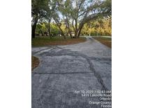 Long cracked concrete driveway lined with mature trees leads to the property at 6419 Lakeville Rd, Orlando, FL 32818