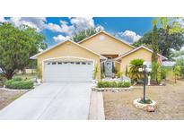 Charming single-story home with a well-manicured lawn, two-car garage, and inviting entryway at 906 Elm Forest Dr, Minneola, FL 34715
