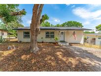 Charming single-story home with a well-maintained lawn and an American flag displayed at 308 Forest St, Fruitland Park, FL 34731