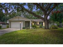 Charming single-story home featuring a mature tree, well-maintained lawn, and attached two-car garage at 17 Juniper Dr, Davenport, FL 33837
