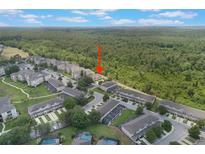 Expansive aerial view of townhomes backing up to natural wooded area in a lush community setting at 2322 Silver Palm Dr, Kissimmee, FL 34747