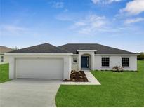 Charming single-story home with a well-manicured lawn and a two-car garage at 563 Viceroy Ct, Kissimmee, FL 34758