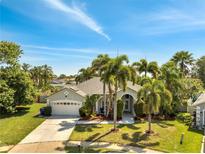 Charming single-story home with a well-manicured lawn and lush tropical landscaping with several palm trees at 3211 Countryside View Dr, St Cloud, FL 34772