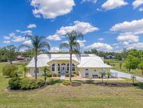 Stunning cream home featuring a sleek metal roof, palm trees, and a well-manicured lawn at 6555 Bay Tree Ct, St Cloud, FL 34771