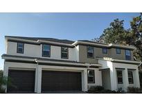 Two-story home featuring a two-car garage, neutral-toned facade, and a well-manicured lawn at 2373 Shanti Dr, Kissimmee, FL 34746