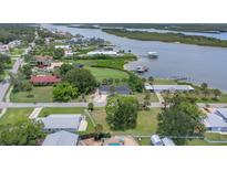 Waterfront community featuring lush greenery, private docks, and stunning river views at 203 Parkwood Ln, Edgewater, FL 32132