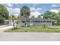 Charming single-story home with lush green lawn and mature palm trees enhancing its curb appeal at 203 Parkwood Ln, Edgewater, FL 32132