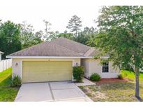 Charming one-story home featuring an attached two-car garage and a well-maintained, landscaped front yard at 56 Levee Ln, Ormond Beach, FL 32174