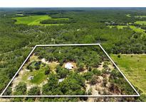 Expansive aerial view of a secluded property surrounded by lush greenery and mature trees at 11323 Kijik Trl, Groveland, FL 34736