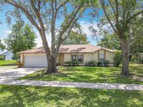 Charming single-story home with a well-manicured lawn and mature trees in a peaceful neighborhood at 2493 Pine Chase Cir, St Cloud, FL 34769