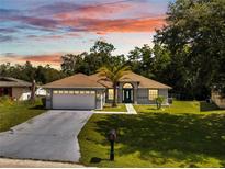 Charming single-story home with lush lawn, palm tree and grey driveway at 640 Floridian Dr, Kissimmee, FL 34758