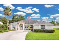 Charming single-story home with an American flag, well-maintained lawn and a palm tree in the front yard at 3261 Sawgrass Creek Cir, St Cloud, FL 34772