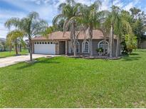 Charming single-story home with palm trees and a well-manicured lawn at 166 Paradise Island Dr, Haines City, FL 33844