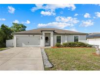 Charming single-Gathering home with a two-car garage, well-maintained lawn, and attractive landscaping at 8 Orchid Ct, Kissimmee, FL 34759