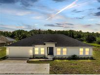 Beautiful one-story home with a well-manicured lawn and a two-car garage at 547 Viceroy Ct, Kissimmee, FL 34758