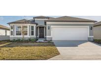 One-story home with gray exterior, two-car garage, and landscaping at 6833 Sw 90Th Loop, Ocala, FL 34476