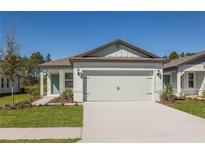 Charming single-Gathering home featuring a two-car garage, manicured lawn, and covered porch, creating an inviting curb appeal at 9080 Wildlight Trl, Wildwood, FL 34785