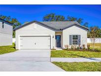 Charming single-story home featuring a two-car garage, well-manicured lawn, and welcoming front entrance at 13481 Leaping Water Way, Astatula, FL 34705