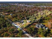 Expansive aerial view of the property, showcasing the home's setting among mature trees and lush surroundings at 2468 Fawn Run, Oviedo, FL 32765