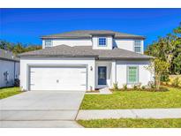 Charming two-story home with a well-manicured lawn, a two-car garage and appealing architectural details at 13466 Leaping Water Way, Astatula, FL 34705