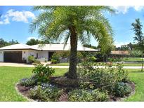 Charming single-story home with a well-manicured lawn and a decorative palm tree in the front yard at 225 Temple Cir, Eustis, FL 32726