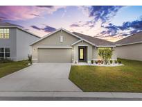 One-story house with a two-car garage and landscaped yard at 8638 Triumph Cir, Wildwood, FL 34785