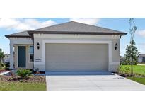 Charming single-story home with a large garage, well-manicured lawn, and tasteful landscaping at 5915 Sw 87Th Ave, Ocala, FL 34481
