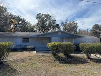 Light blue house with well-maintained hedges and a spacious yard at 1401 Cr 449, Lake Panasoffkee, FL 33538