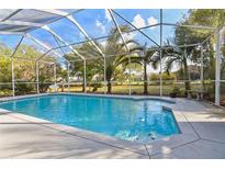 Screened pool boasts palm trees and ample room for entertaining outdoors at 5261 Waterwood Dr, Bartow, FL 33830