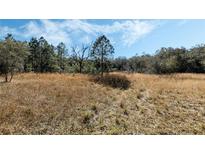 Scenic view of spacious land with natural foliage and blue skies at 12308 Se 112Th Avenue Rd, Belleview, FL 34420