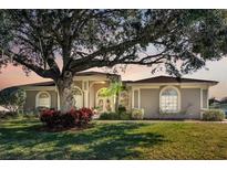 Charming single-story home with well-maintained landscaping and a mature shade tree in a desirable neighborhood at 867 Hanover Way, Lakeland, FL 33813