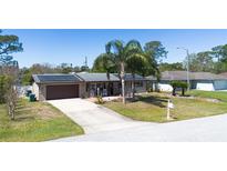 Charming single-story home featuring solar panels, a well-manicured lawn, and inviting curb appeal with tropical landscaping at 1062 Mayflower Ave, Deltona, FL 32725