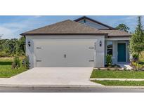A two-car garage featuring an extended concrete driveway and manicured lawn at 9056 Wildlight Trl, Wildwood, FL 34785