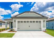 Two car garage with carriage doors and gray and white exterior paint at 3736 Bergamot St, Lake Alfred, FL 33850