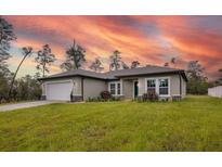 Charming single-story home featuring a neutral color palette, well-manicured lawn, and attached two car garage at 16538 Sw 31St Terrace, Ocala, FL 34473